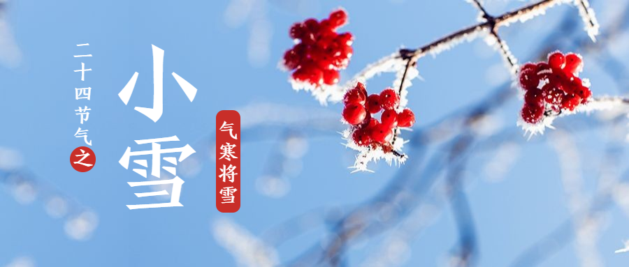 小雪||晚来天欲雪，更饮一杯暖